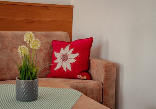 Pflanze auf dem Tisch und rotes Dekokissen auf dem Sofa